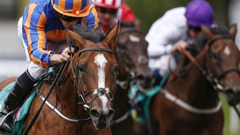 Aidan O'Brien Horse Racing Fans .